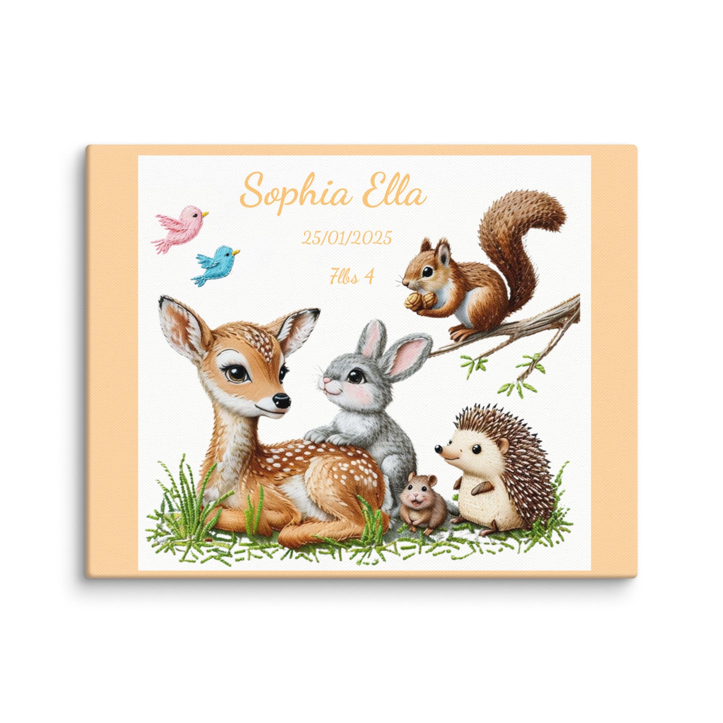 Personalized baby birth announcement canvas featuring custom name, date of birth, and weight, with a choice of border color, perfect for nursery decor or a heartfelt gift.