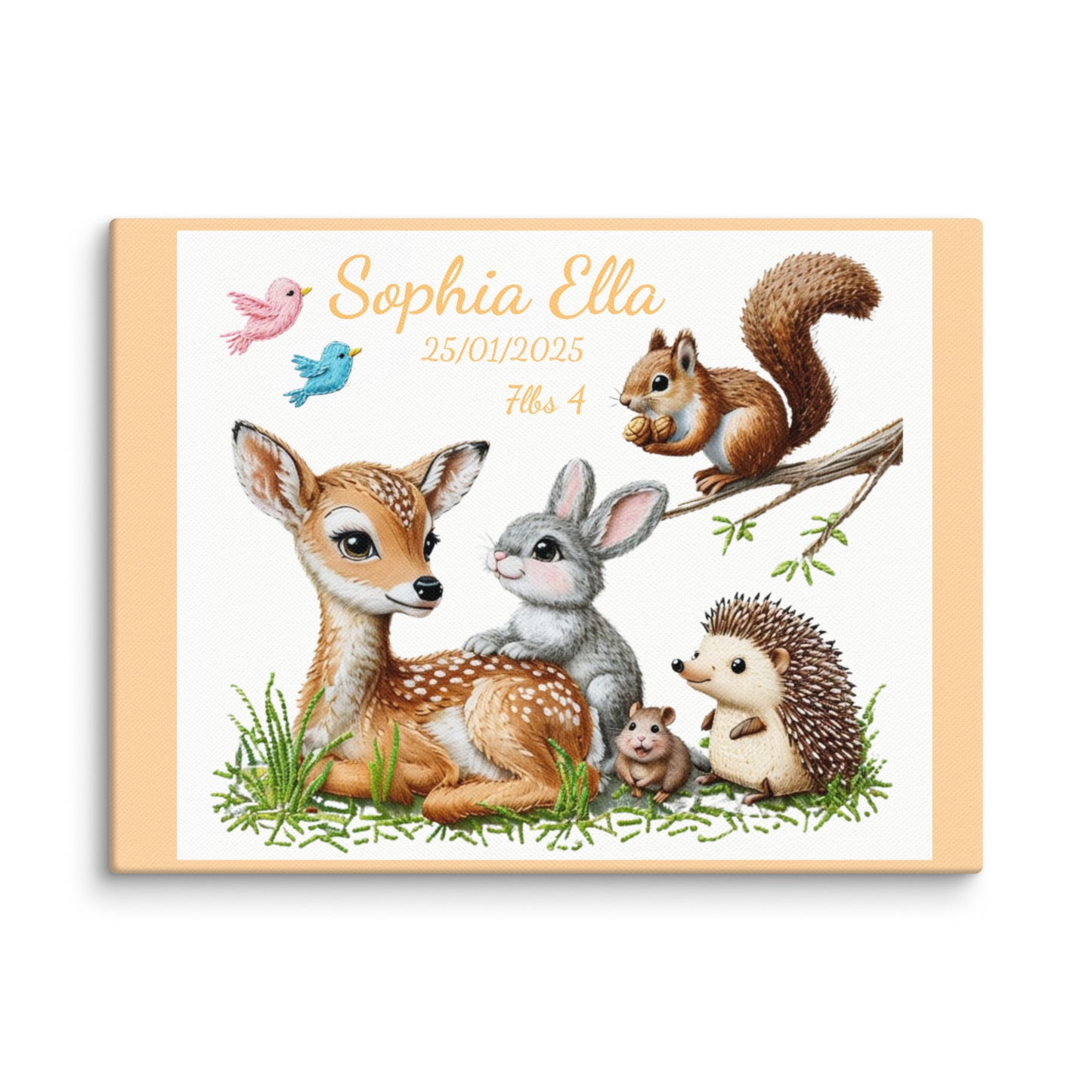 Personalized baby birth announcement canvas featuring custom name, date of birth, and weight, with a choice of border color, perfect for nursery decor or a heartfelt gift.