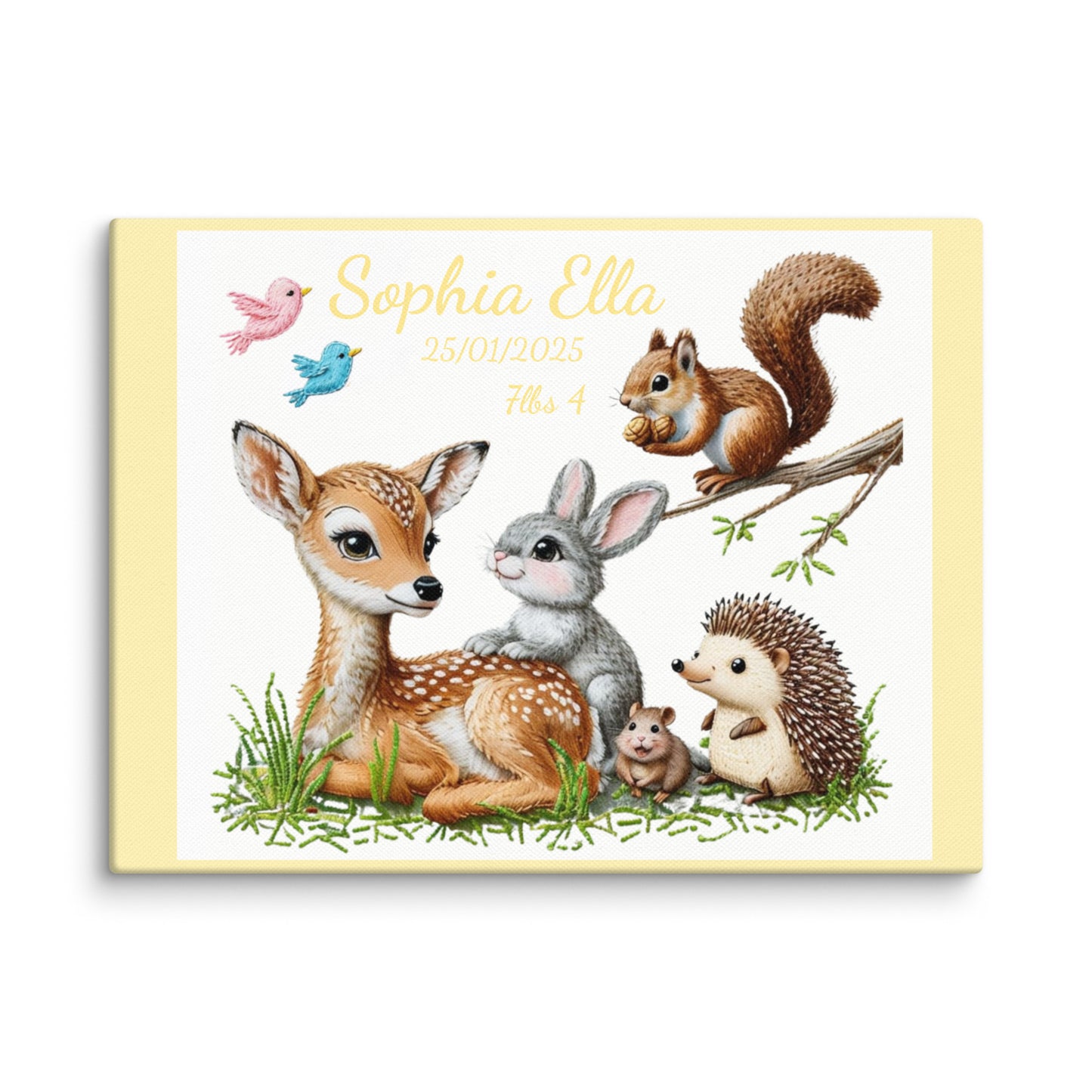 Personalized baby birth announcement canvas featuring custom name, date of birth, and weight, with a choice of border color, perfect for nursery decor or a heartfelt gift.