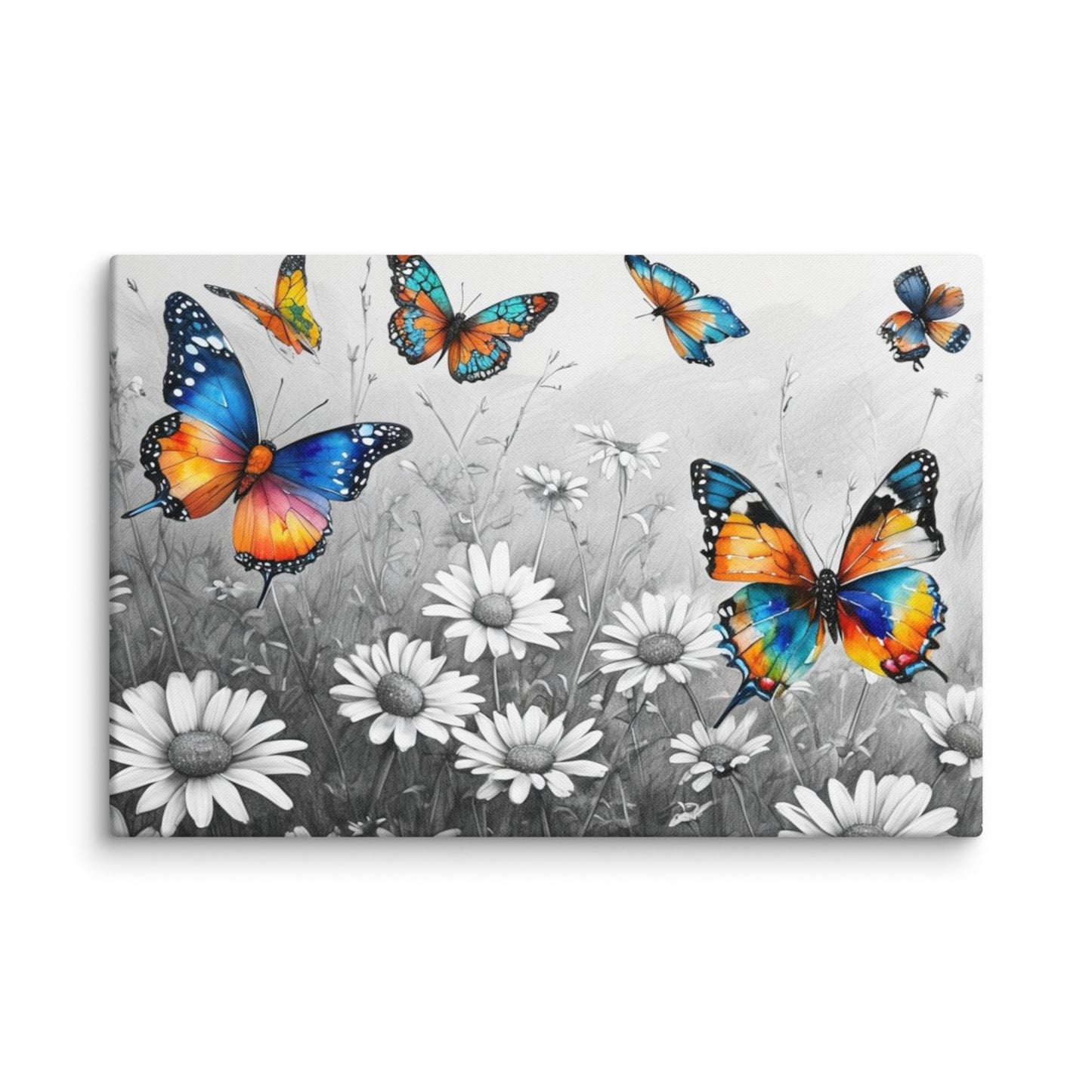 Stretched "{{product-type}}" with vibrant, colourful butterflies flying over a black and white field of daisies. The "{{title}}" design is a beautiful piece of nature-inspired wall art.