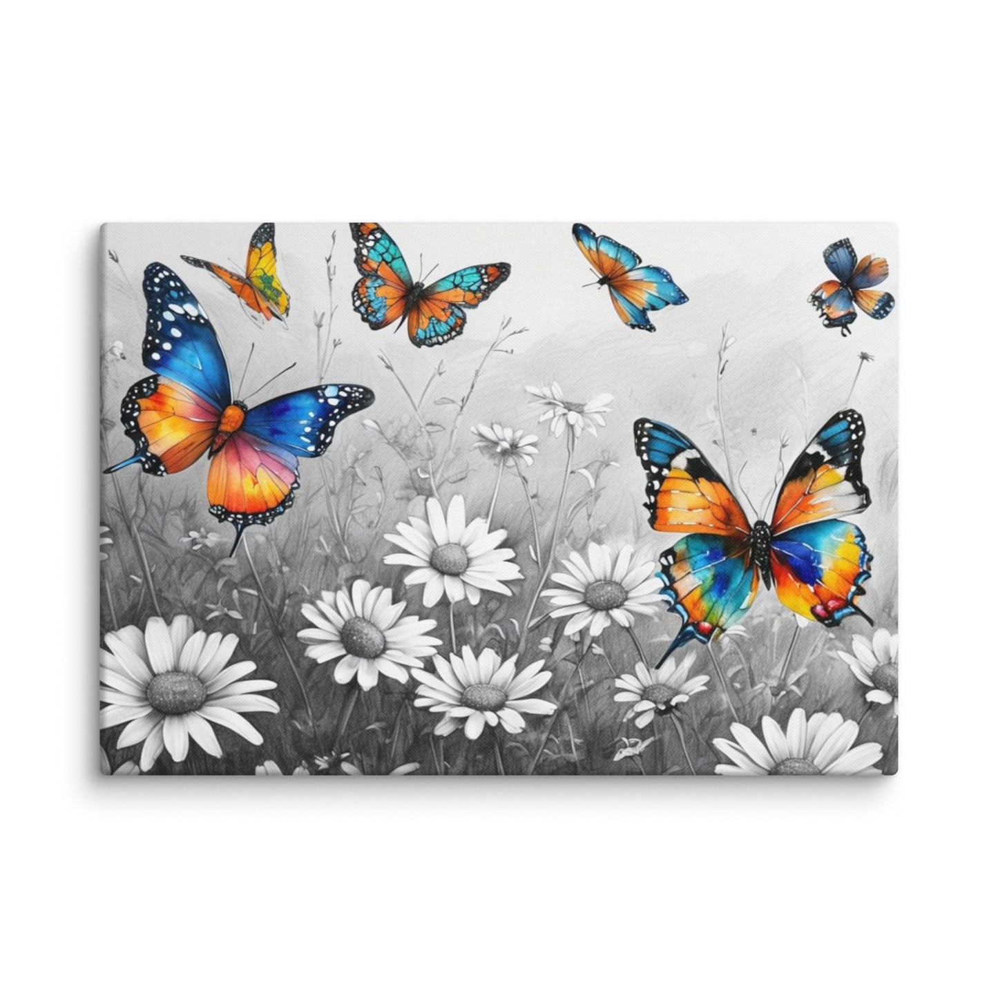 Stretched "{{product-type}}" with vibrant, colourful butterflies flying over a black and white field of daisies. The "{{title}}" design is a beautiful piece of nature-inspired wall art.