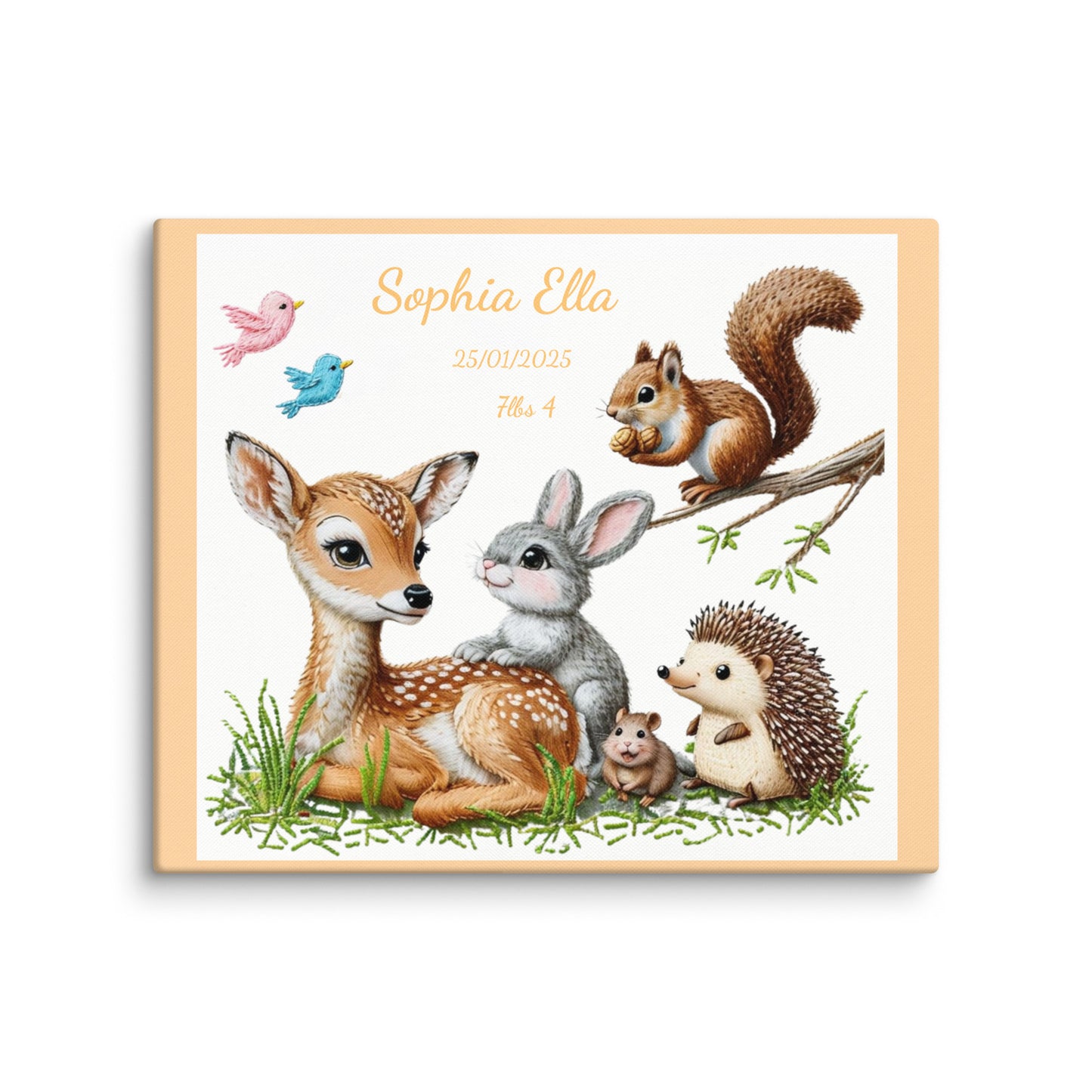 Personalized baby birth announcement canvas featuring custom name, date of birth, and weight, with a choice of border color, perfect for nursery decor or a heartfelt gift.