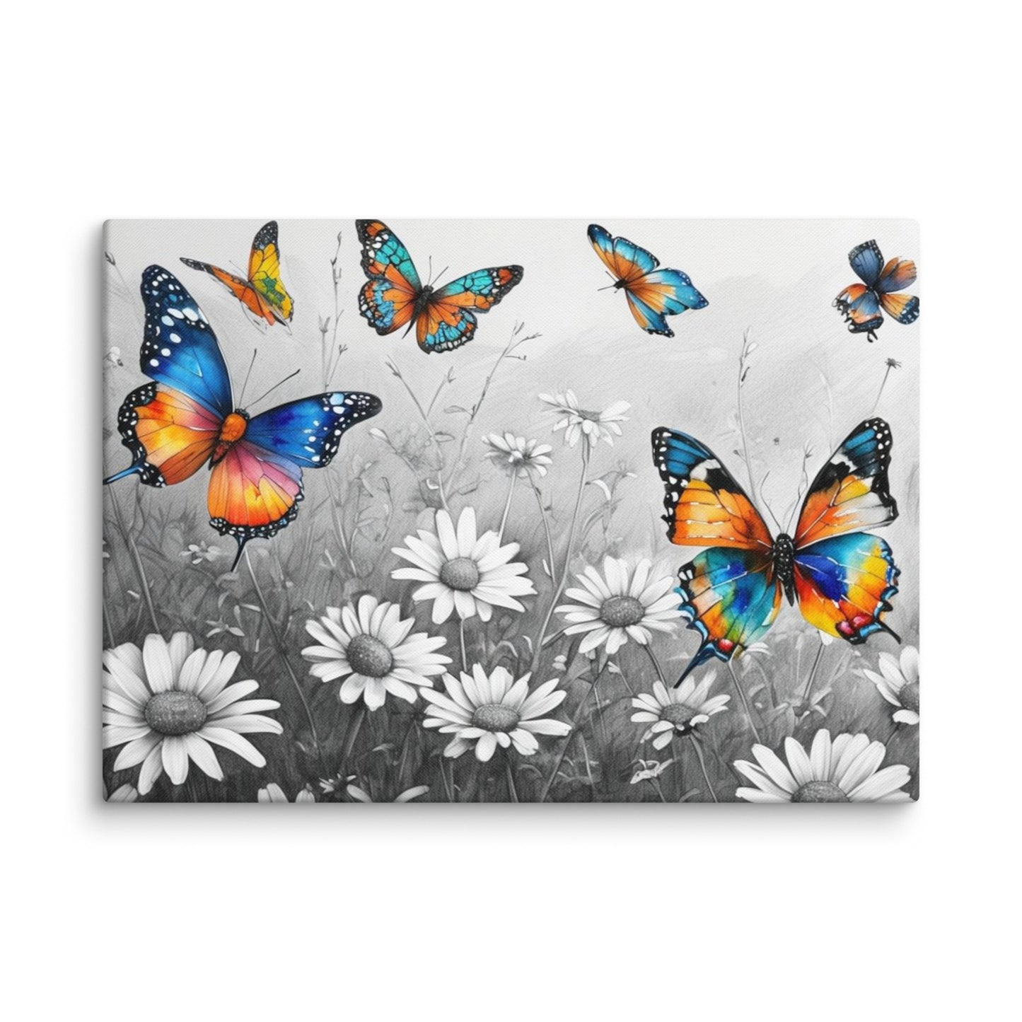 Stretched "{{product-type}}" with vibrant, colourful butterflies flying over a black and white field of daisies. The "{{title}}" design is a beautiful piece of nature-inspired wall art.