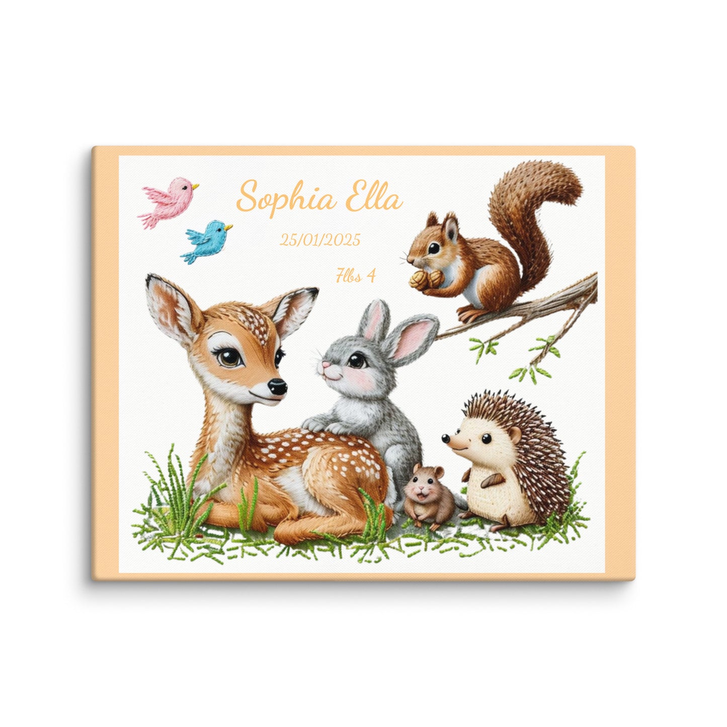 Personalized baby birth announcement canvas featuring custom name, date of birth, and weight, with a choice of border color, perfect for nursery decor or a heartfelt gift.
