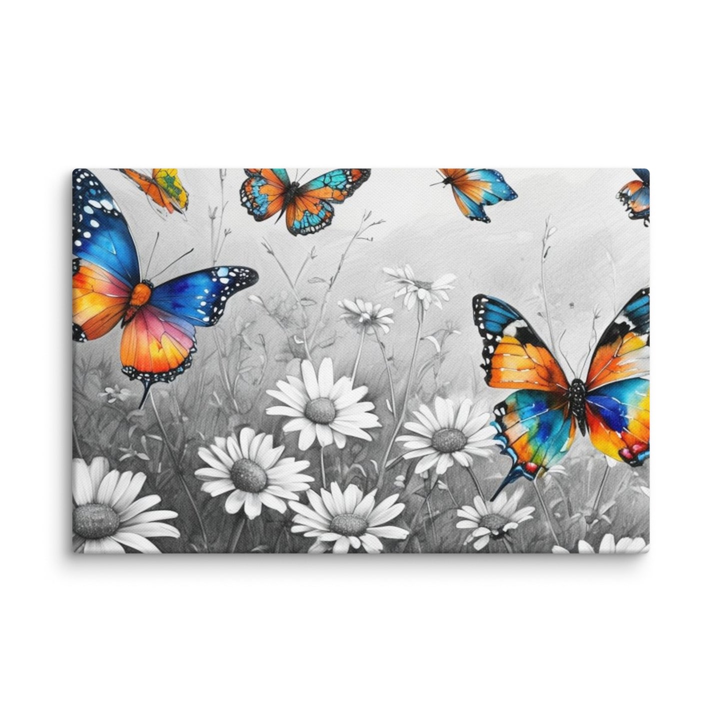 Stretched "{{product-type}}" with vibrant, colourful butterflies flying over a black and white field of daisies. The "{{title}}" design is a beautiful piece of nature-inspired wall art.