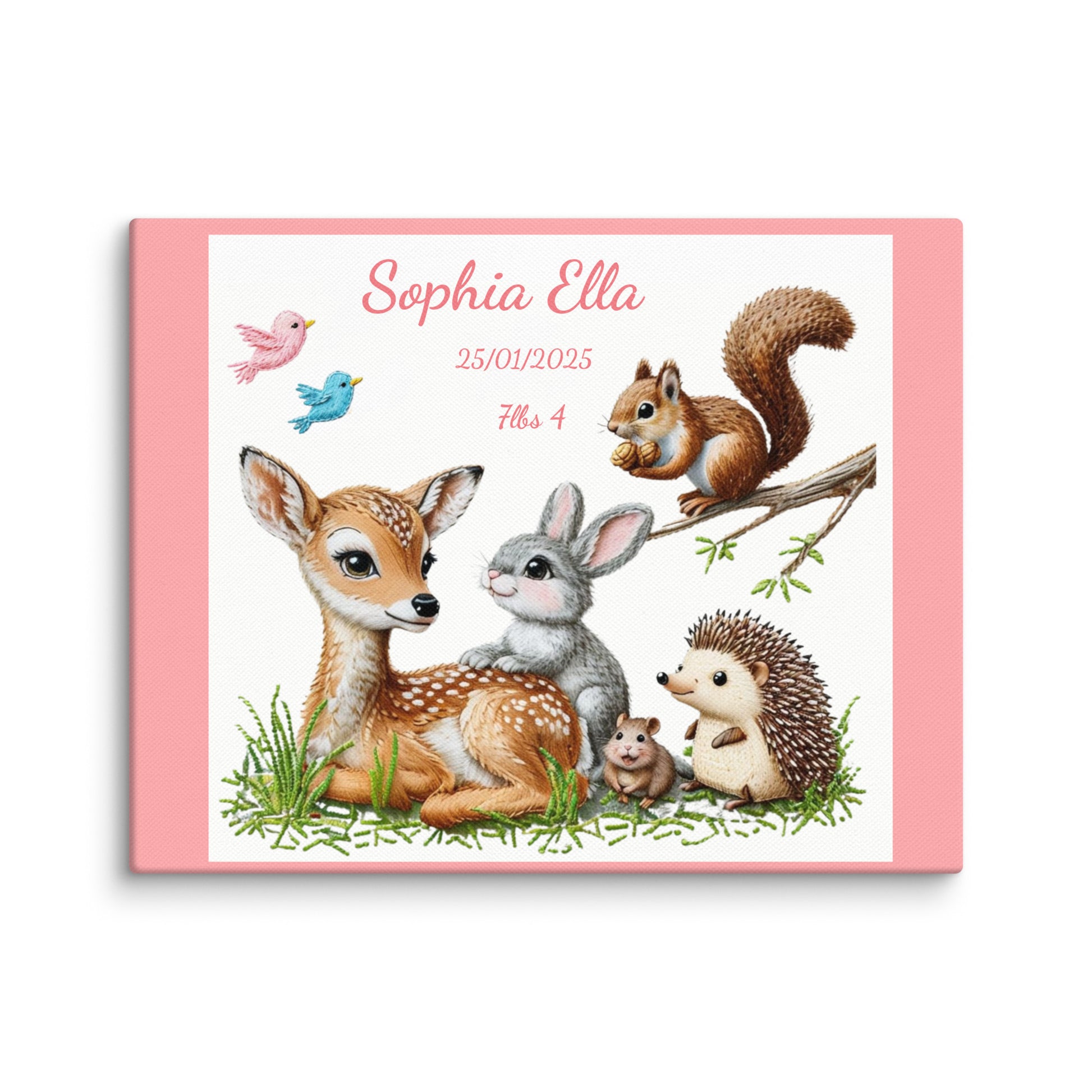 Personalized baby birth announcement canvas featuring custom name, date of birth, and weight, with a choice of border color, perfect for nursery decor or a heartfelt gift.