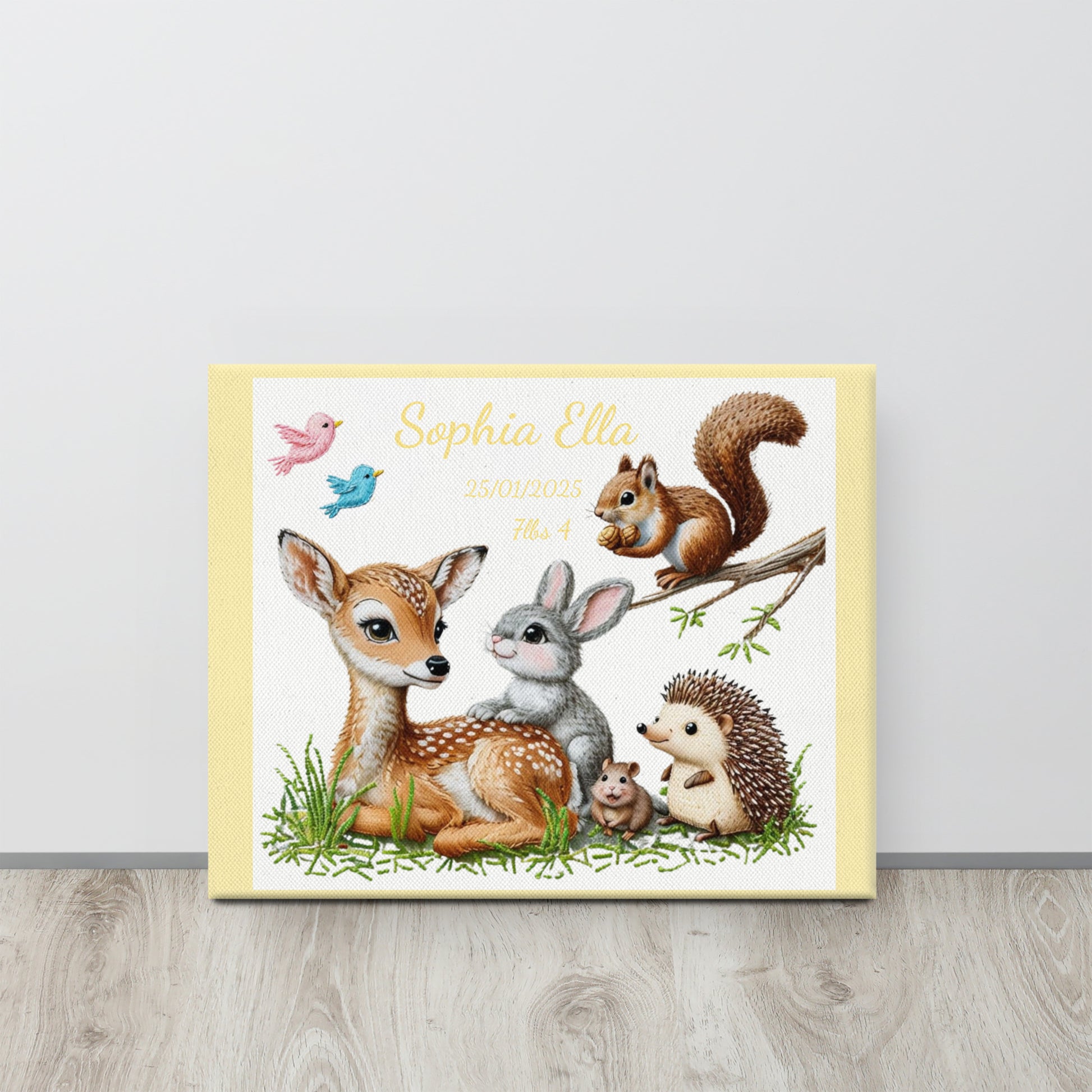 Personalized baby birth announcement canvas featuring custom name, date of birth, and weight, with a choice of border color, perfect for nursery decor or a heartfelt gift.