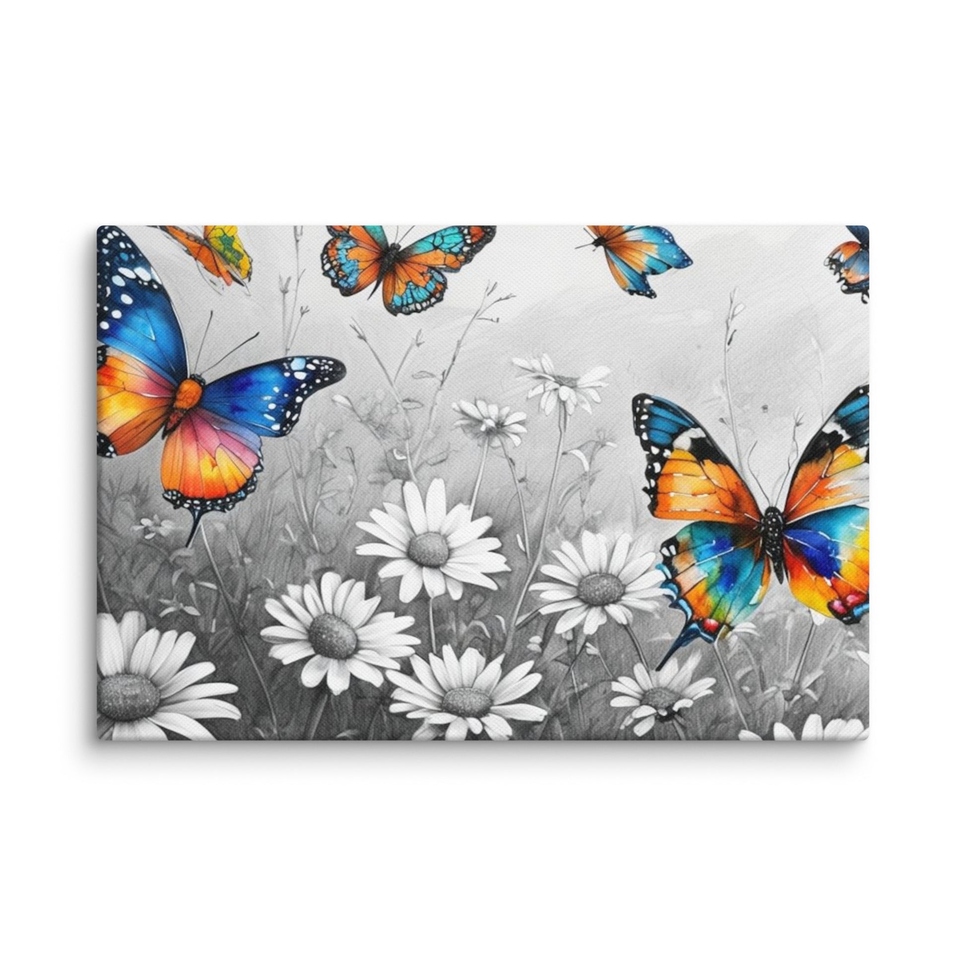 Stretched "{{product-type}}" with vibrant, colourful butterflies flying over a black and white field of daisies. The "{{title}}" design is a beautiful piece of nature-inspired wall art.